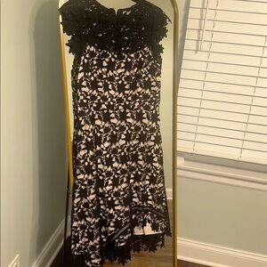 Eliza J. Elegant Black Lace  Dress